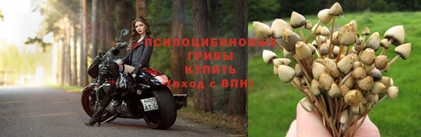 каннабис Балабаново